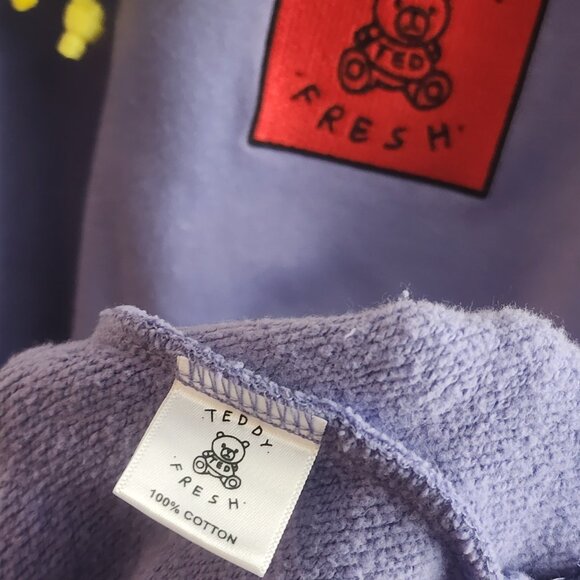 Teddy Fresh Hoodie Mens Medium Pullover Pastel Colorblock Purple Pink Blue Yello - Picture 7 of 11